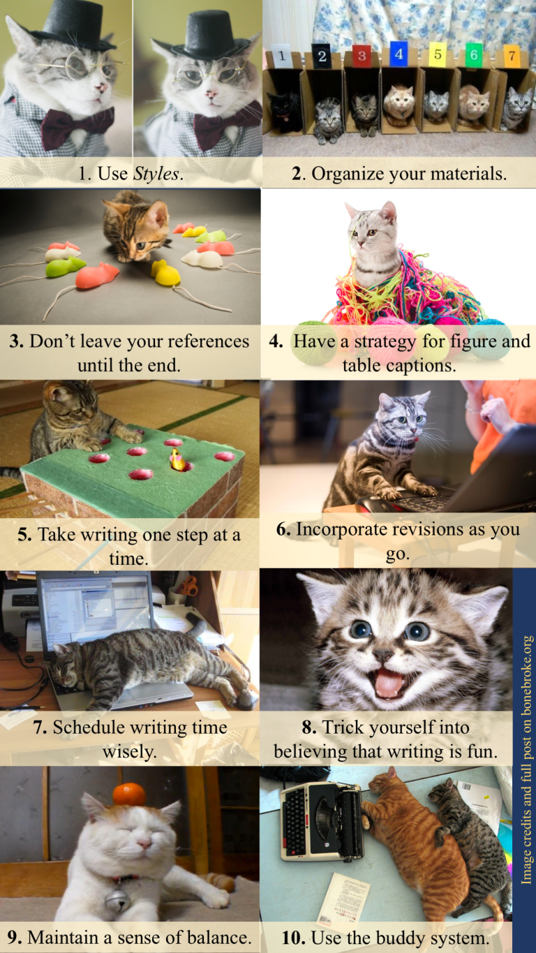 thesis on cats